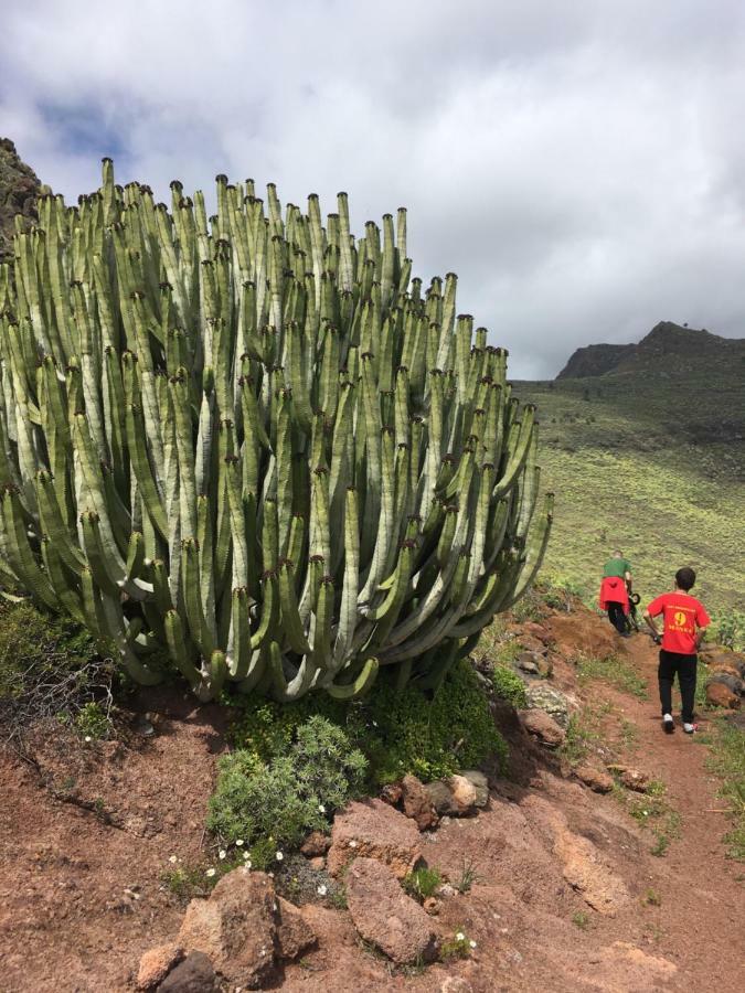 Casa Manel, La Gomera San Sebastián de la Gomera エクステリア 写真
